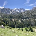The Great Outdoors