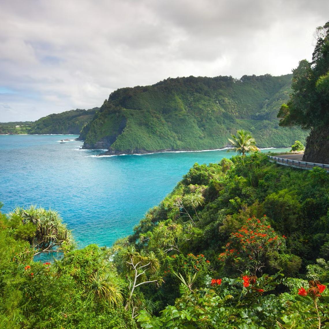 Hawaii Honeymoon Fund!