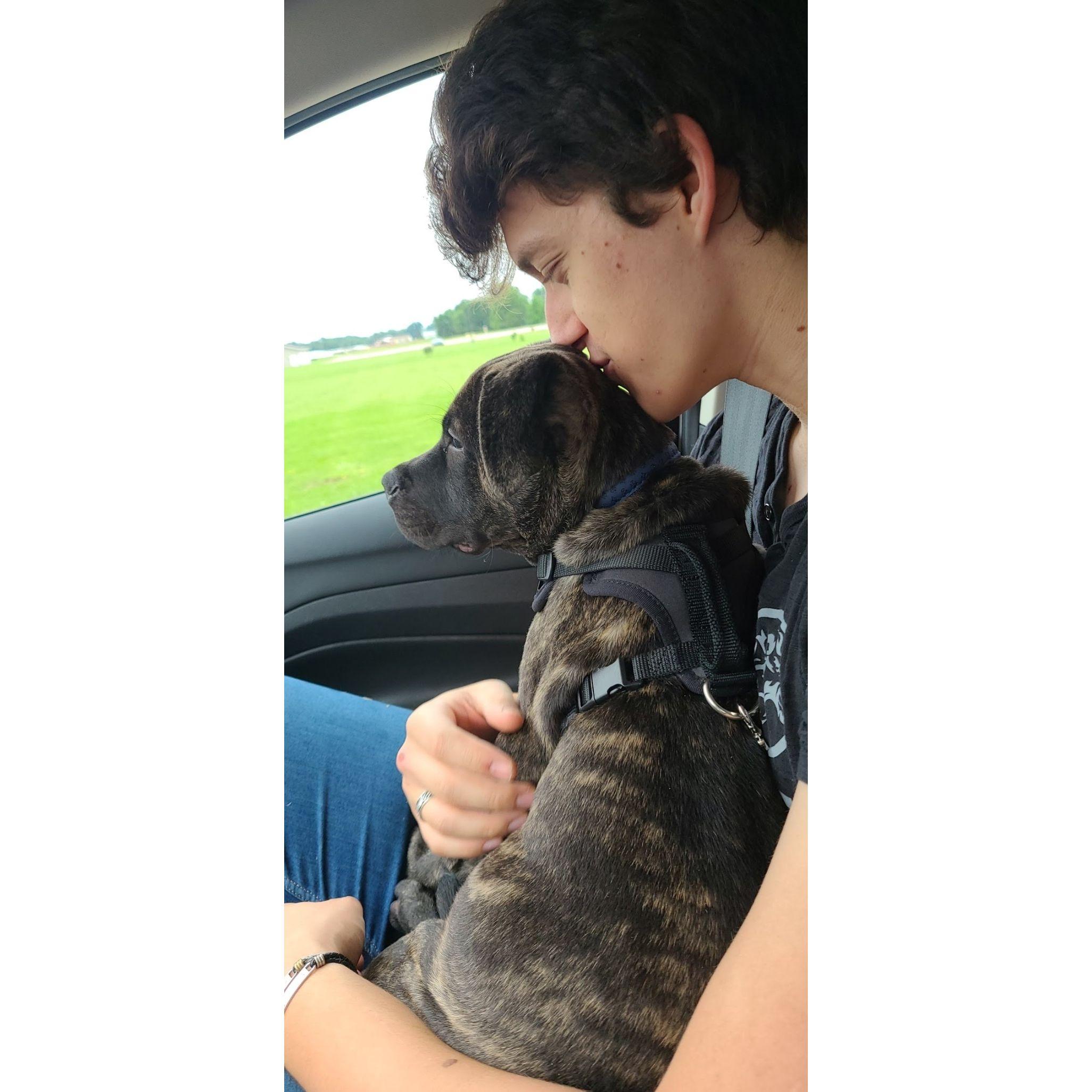 The day we adopted Odin Ravioli.