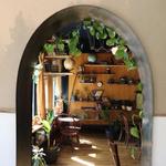 Plume Coffee Bar
