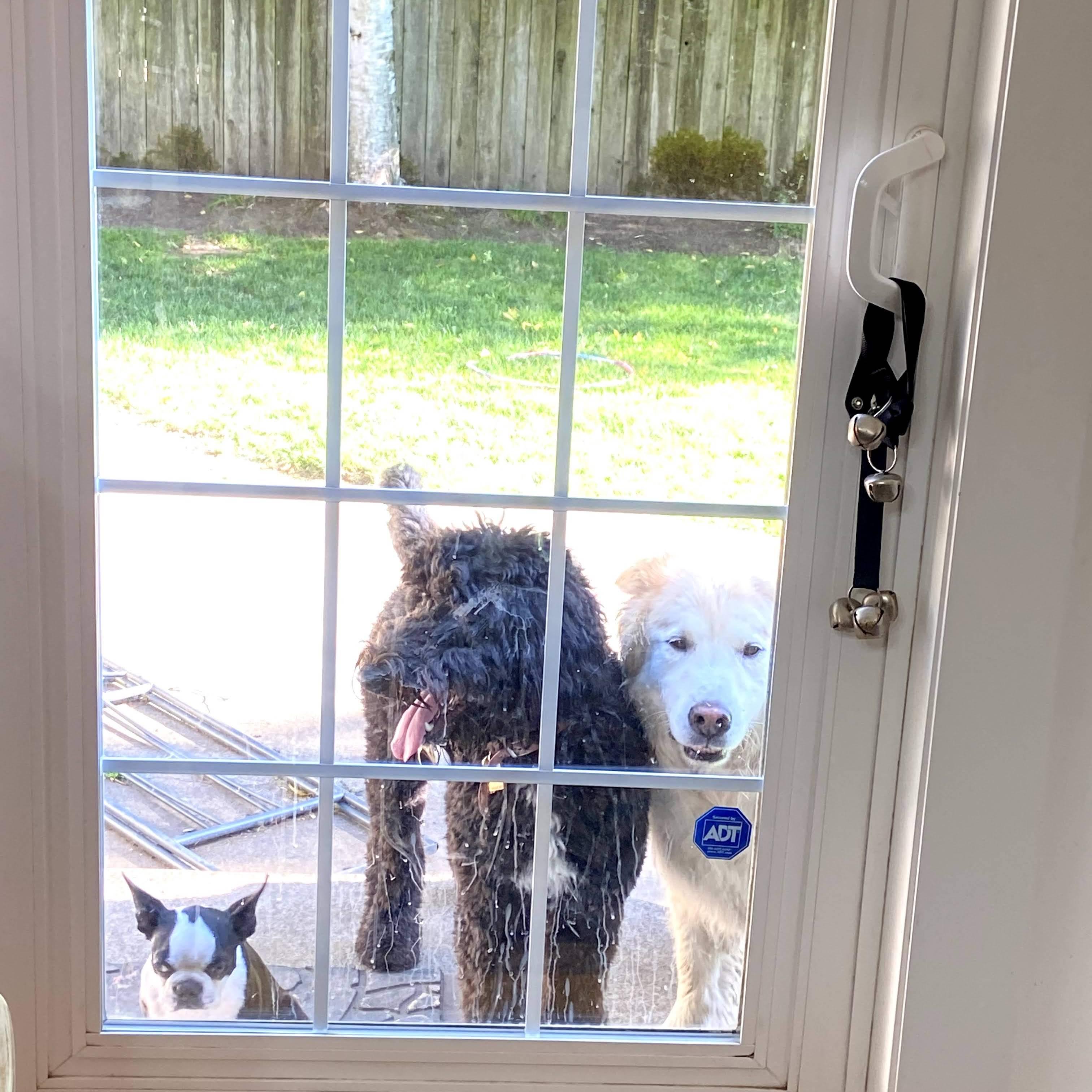 Well behaved or Semi-tame ?