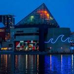 National Aquarium