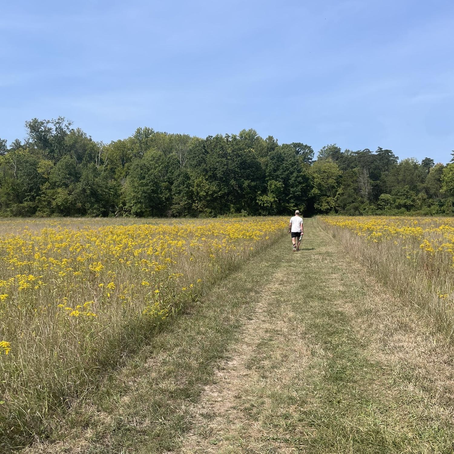 Walk through the Manassas Battlefields