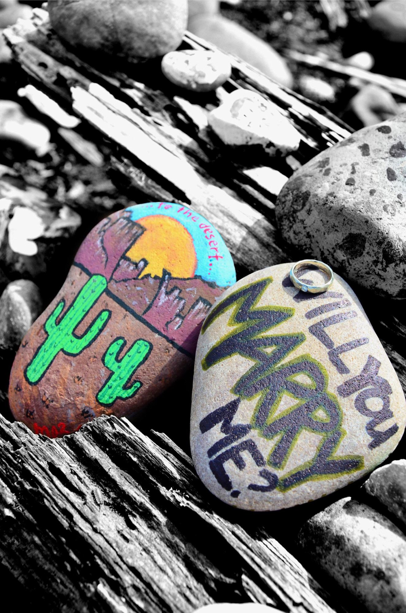 "from the mountains to the desert"
We painted the rock on the left to leave at the painted rock beach in Seaside.
