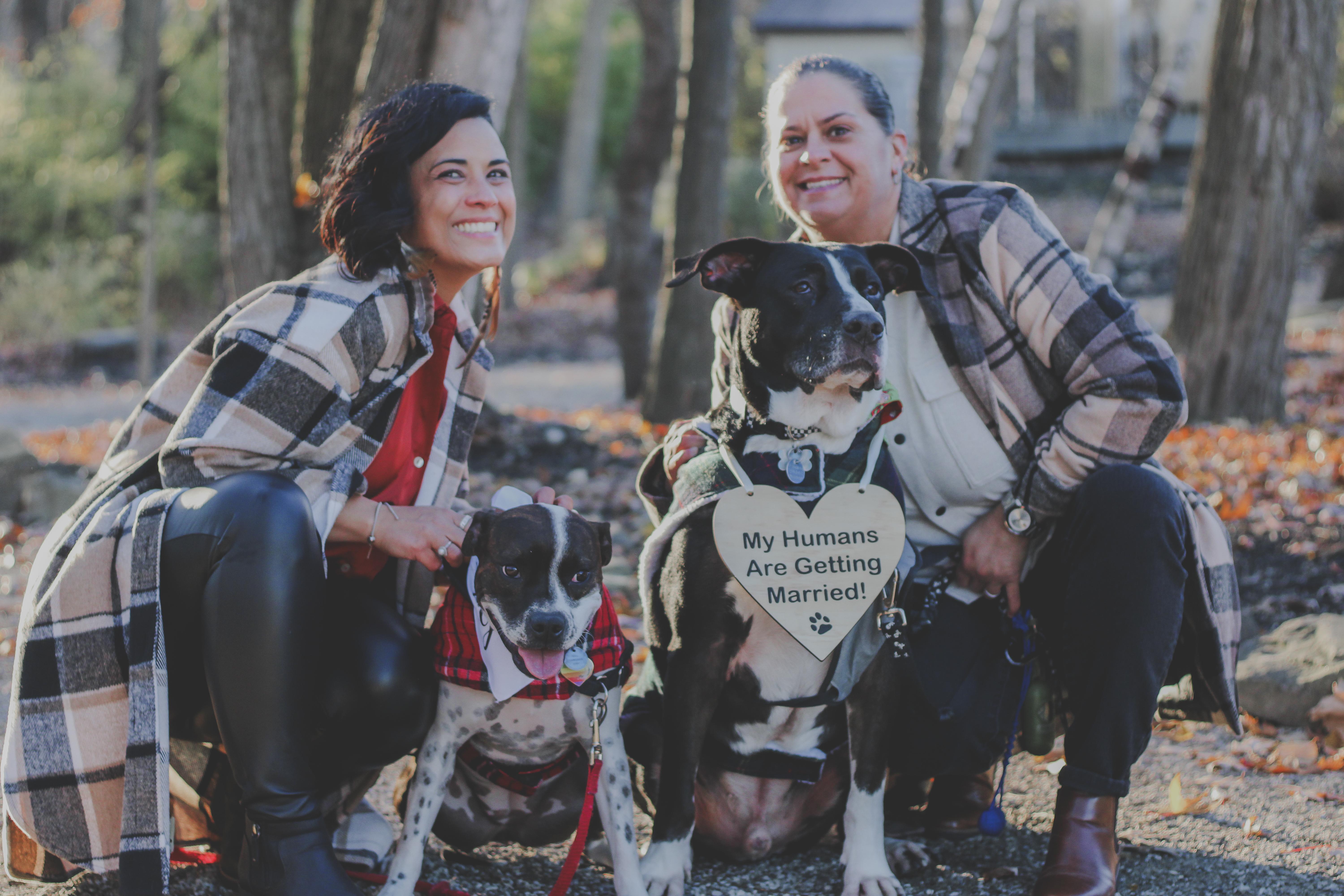 004b2d83-d2c8-40f9-9f40-c0d9c5c3b53b