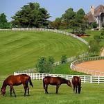 Horse Country Kentucky