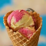 The Hop Ice Cream Cafe