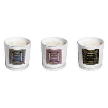 Bellevue 14 oz Soy Blend Candle, Set of 3