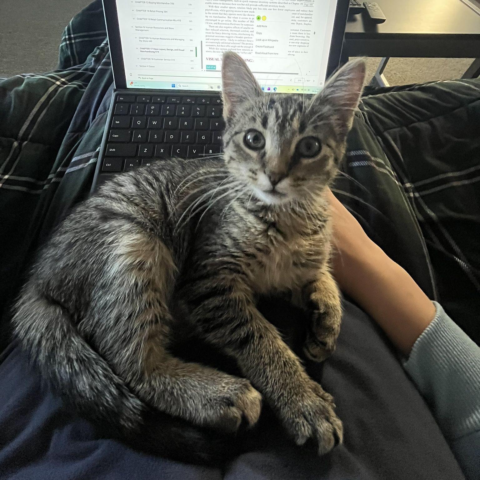 Our little Beanstalk