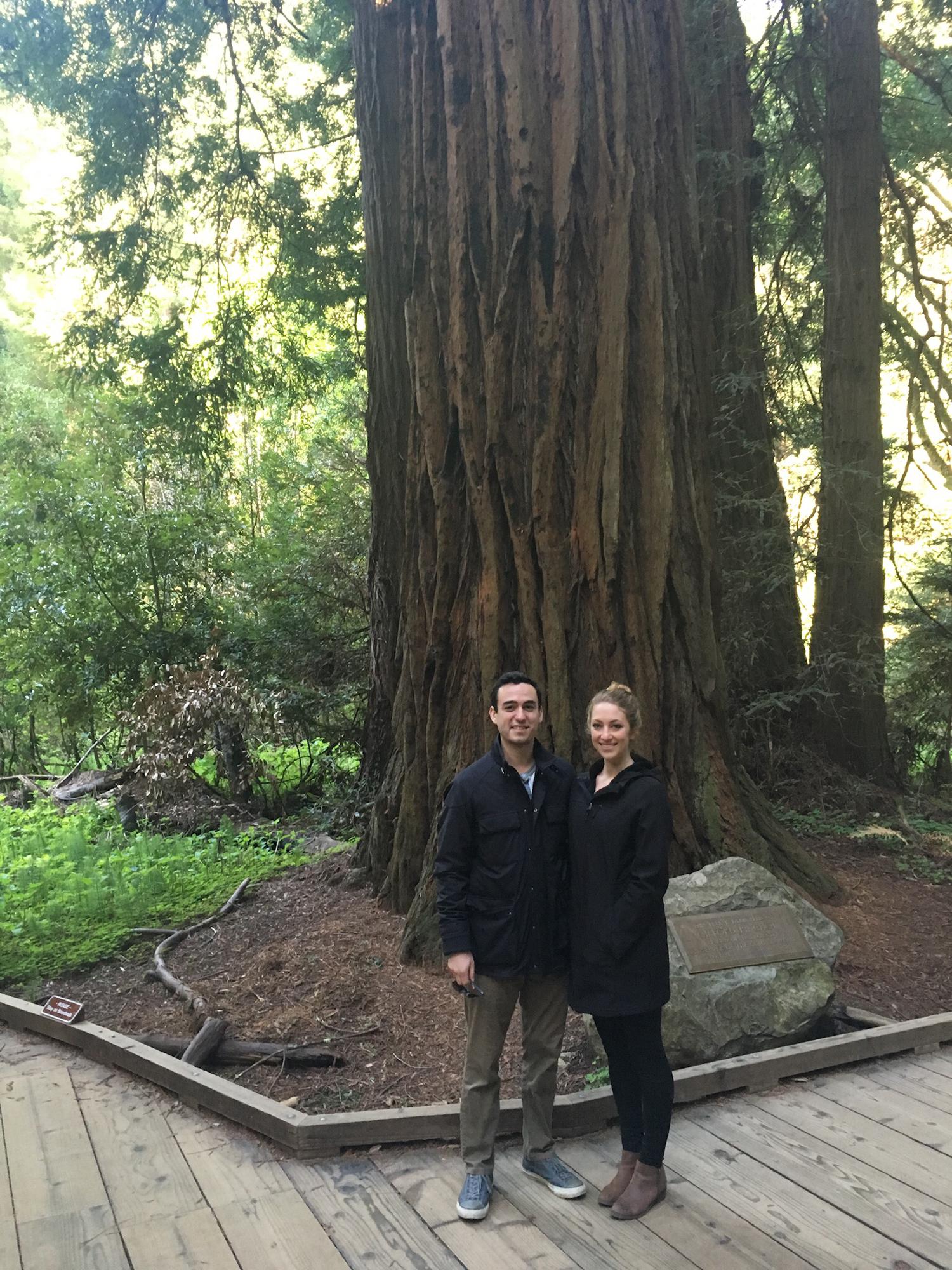 Muir Woods 2016