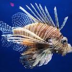 South Carolina Aquarium