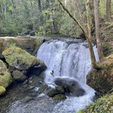 Whatcom Falls Park (Use entrance on Silver Beach Rd.)