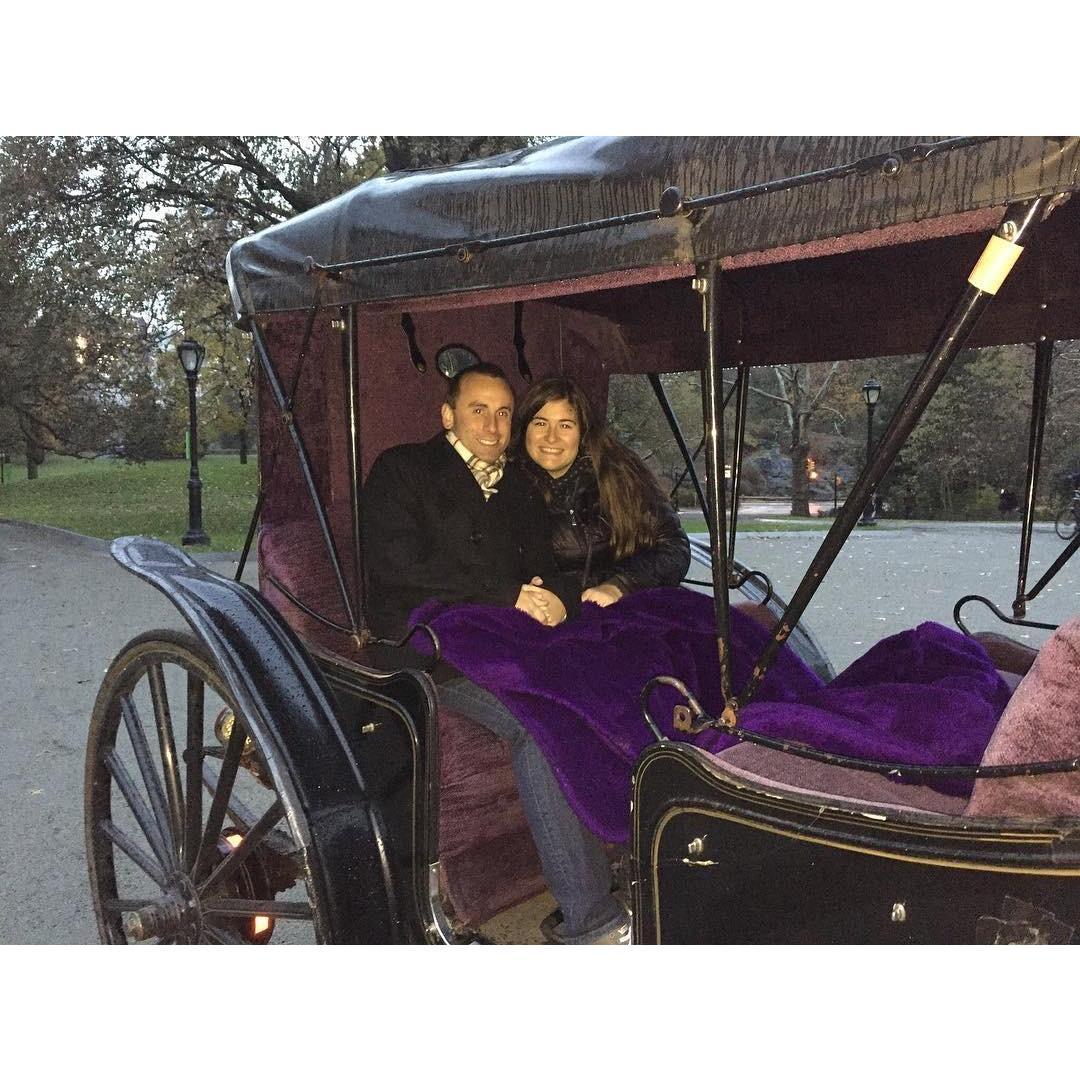 Horse Drawn Carriage Ride Through Central Park