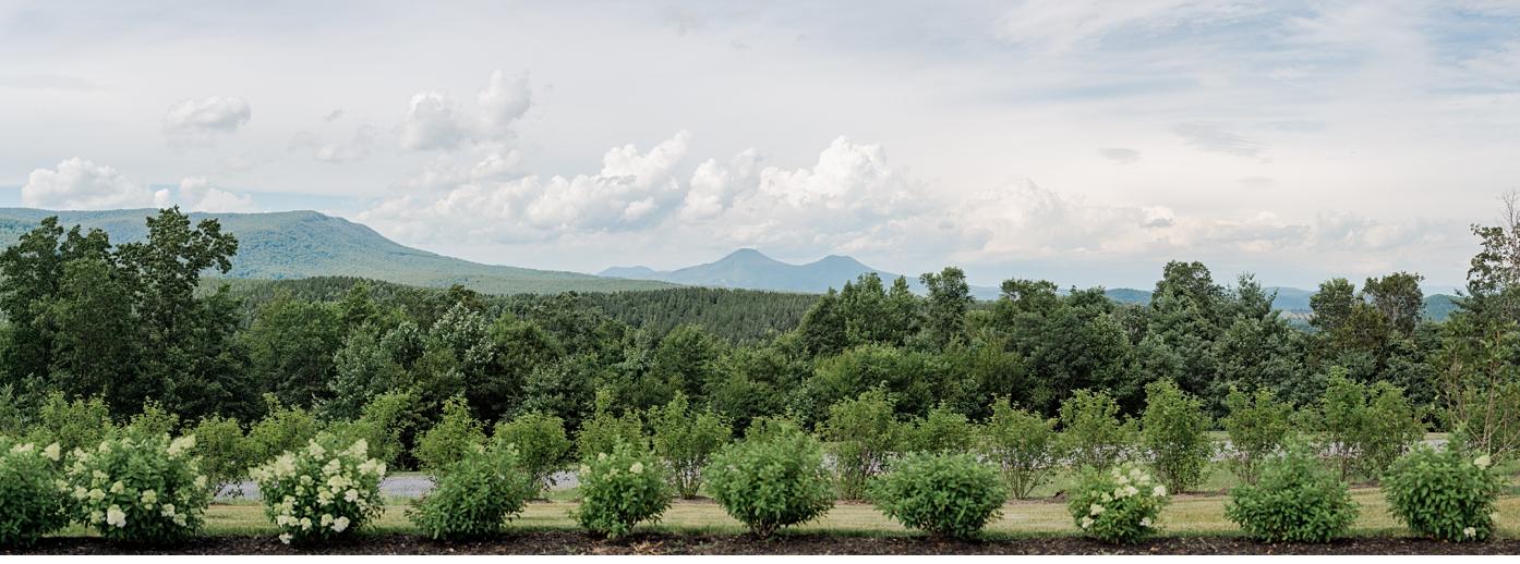 The Wedding Website of Amanda Whalen and James Willey