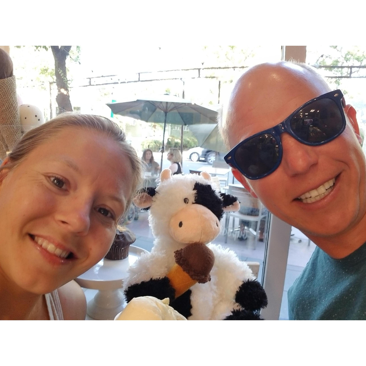 icecream licking cows...why not - Davis CA; May 2018