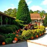 Mike's Farm
