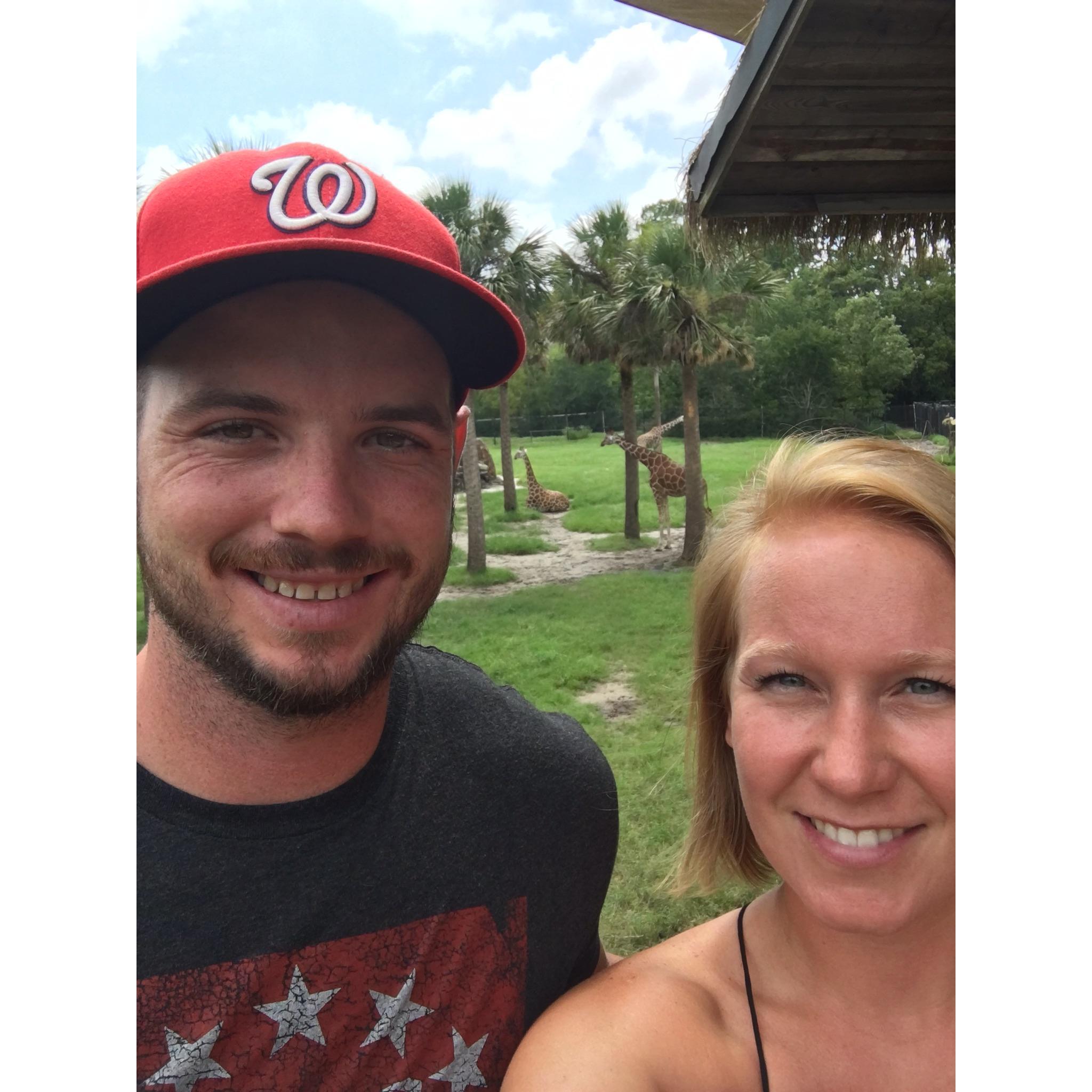Jacksonville, Florida zoo 
July 2017