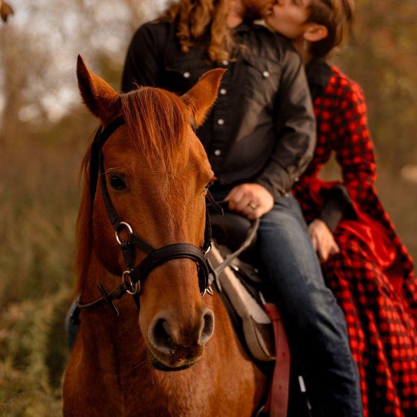 We all know who the main character of this photoshoot was (don't tell the dog)