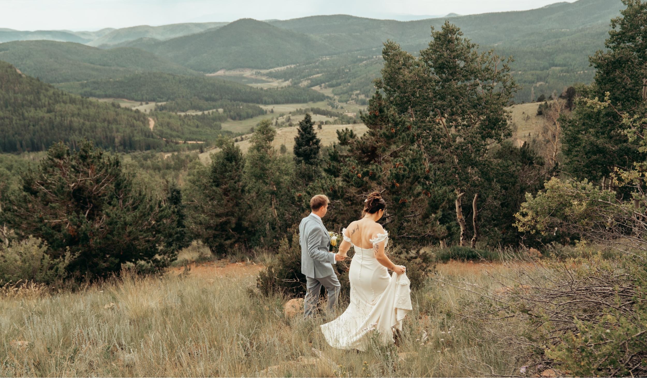 The Wedding Website of Ali Hermann and Tegan Johnson