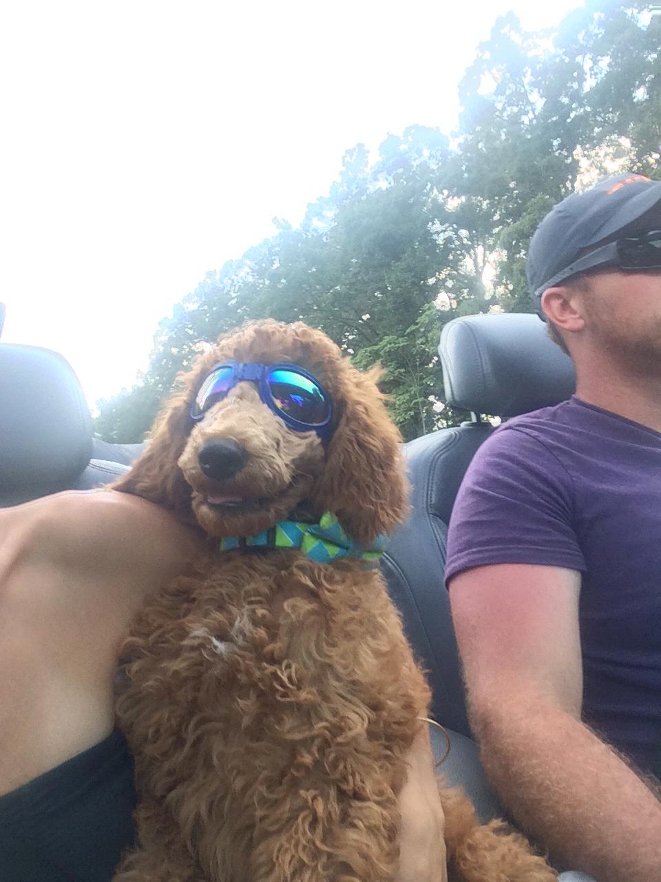 Driving back to D.C on that first trip together from Raliegh.
