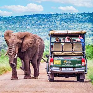 4-Day Kruger Safari