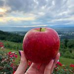 Carter Mountain Orchard and Country Store