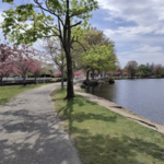 Argyle Lake