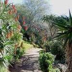 UC Riverside Botanic Gardens