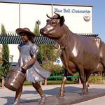 Blue Bell Creameries Distribution Center