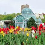 Brooklyn Botanic Garden