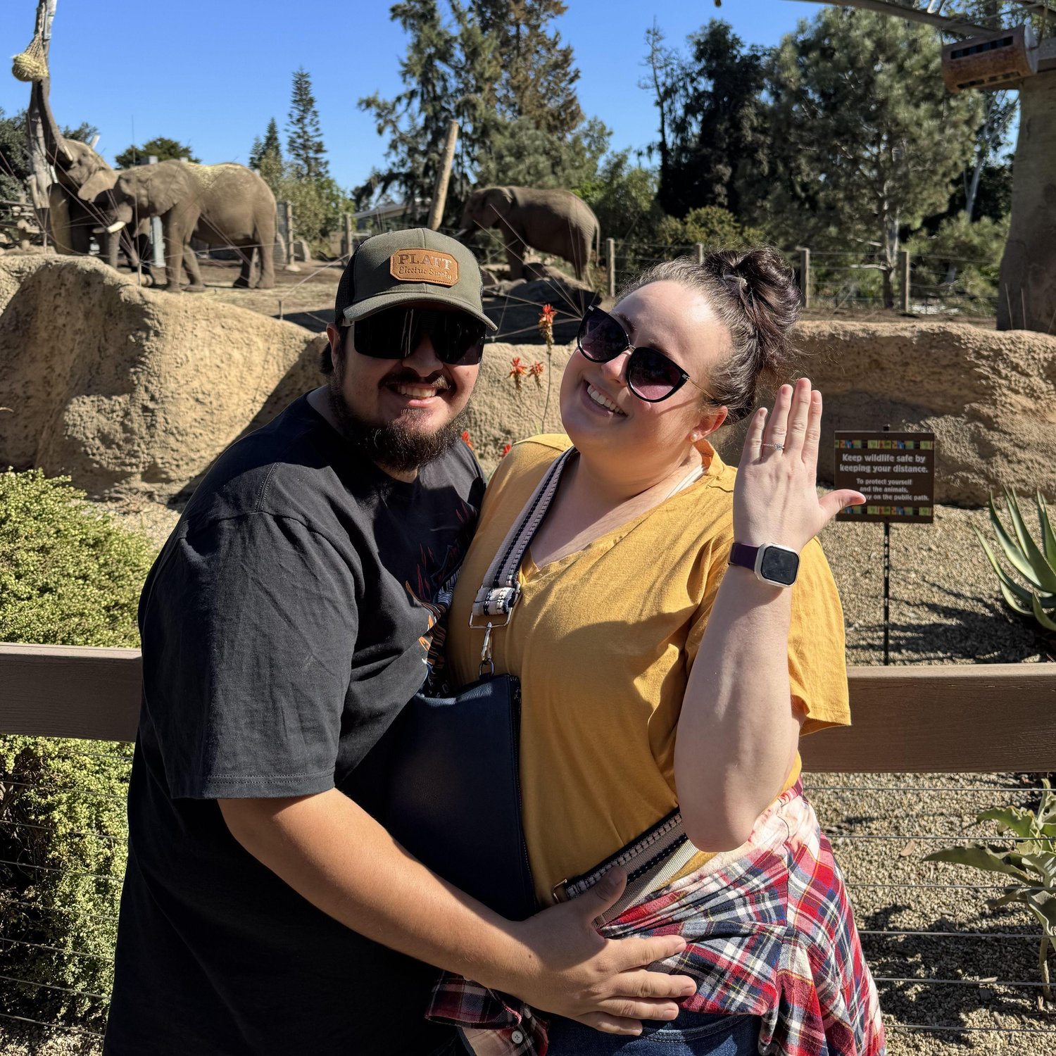 Our engagement trip at the San Diego Zoo. Santos proposed in front of my favorite animals, the elephants.