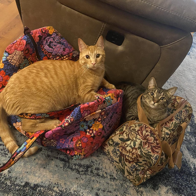Deet + Garth’s Babysitter Fund