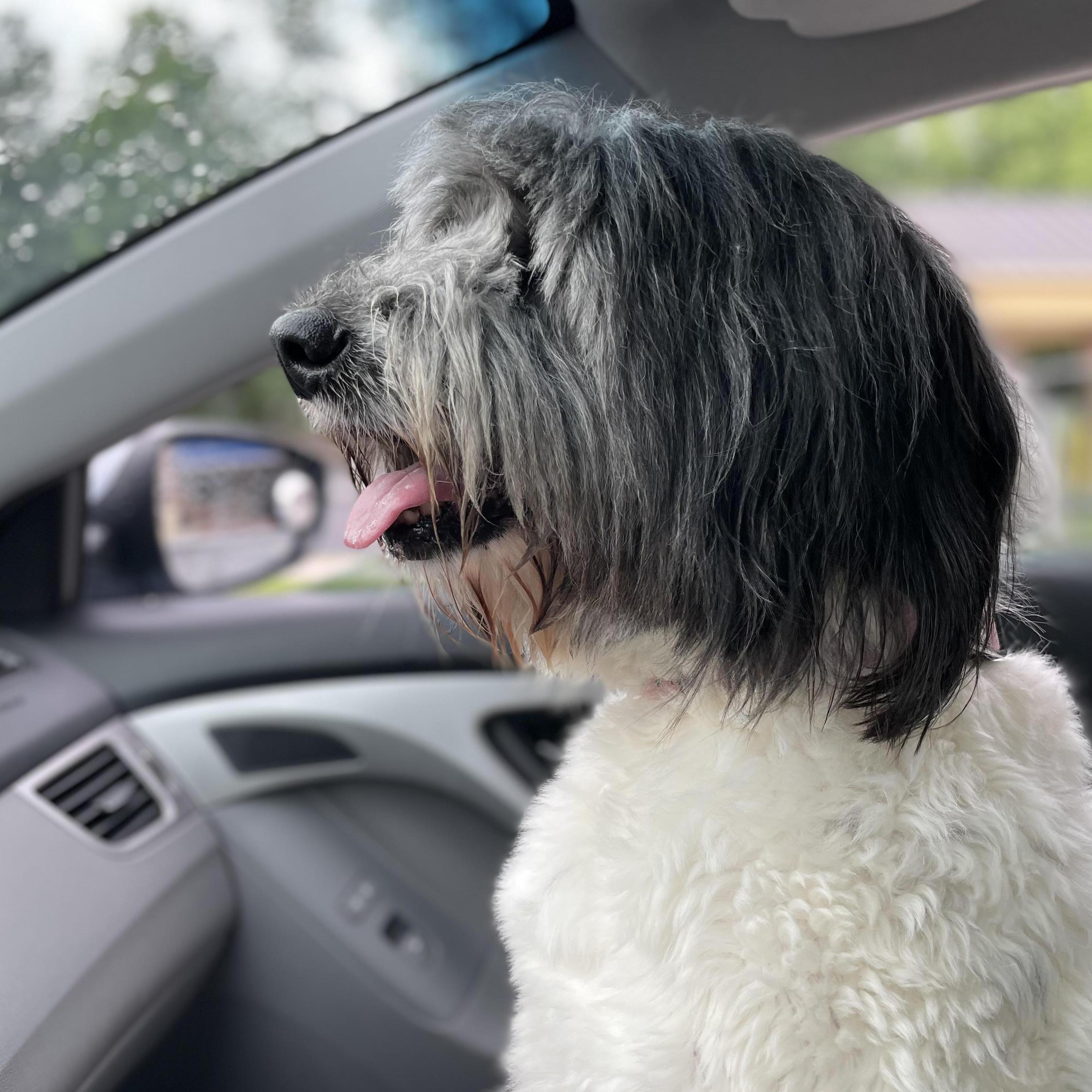 Can we go to the park? Please.