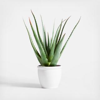 Potted Faux Agave Sisal Plant