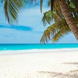 Coquina Beach