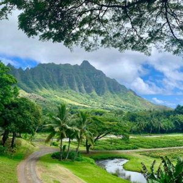 Jurassic Park ATV Honeymoon Experience