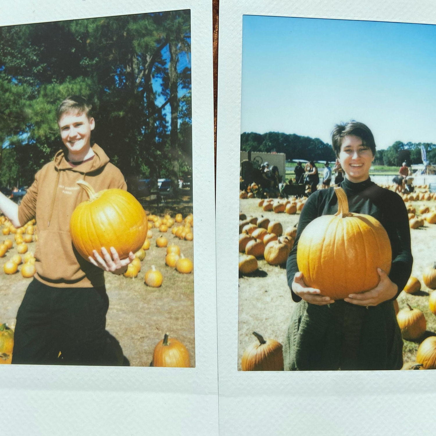 Picking out pumpkins in South Carolina.