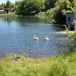 Sacramento River