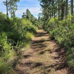 Seven Lakes Picnic Area