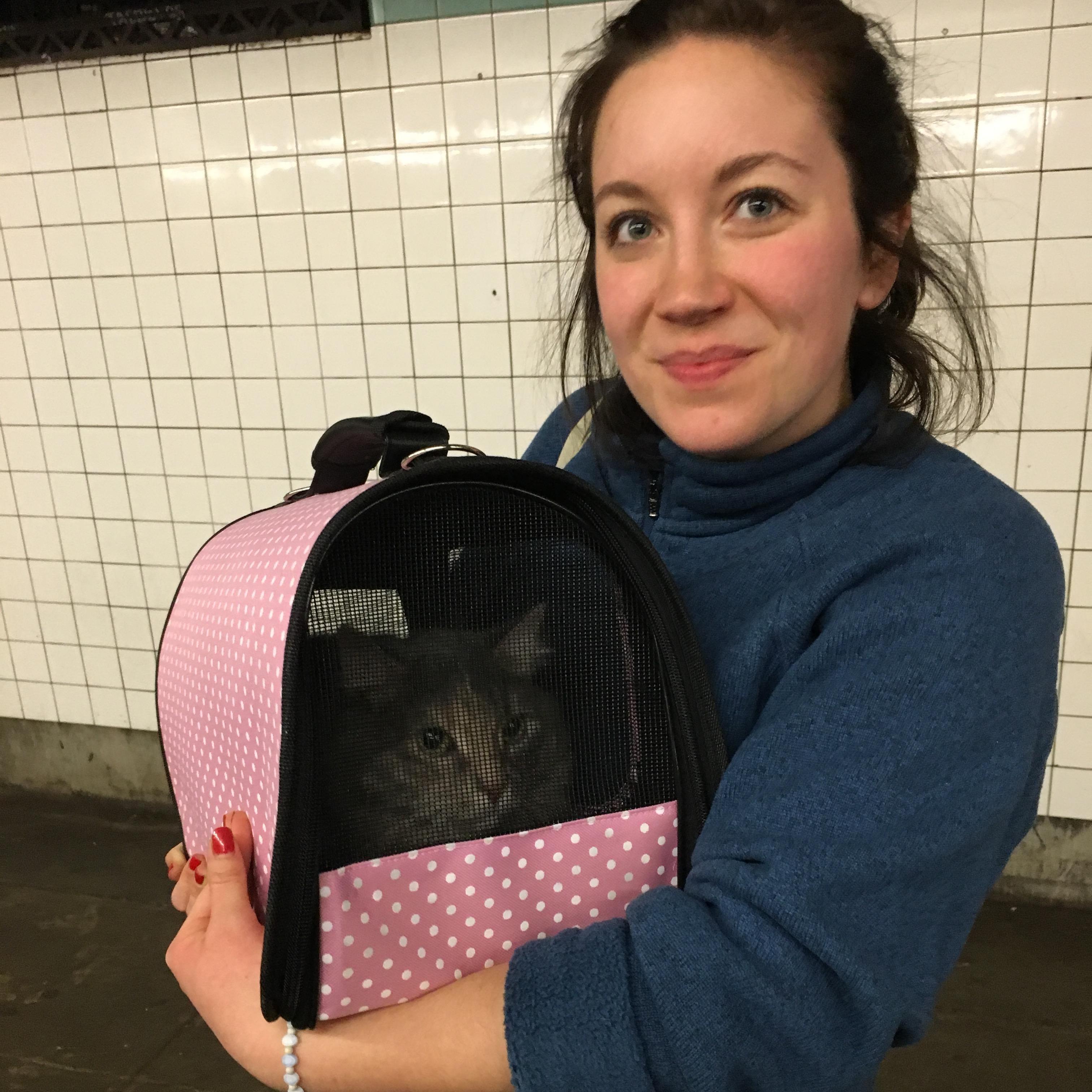 Gypsy and Val move in with Declan -- February, 2016