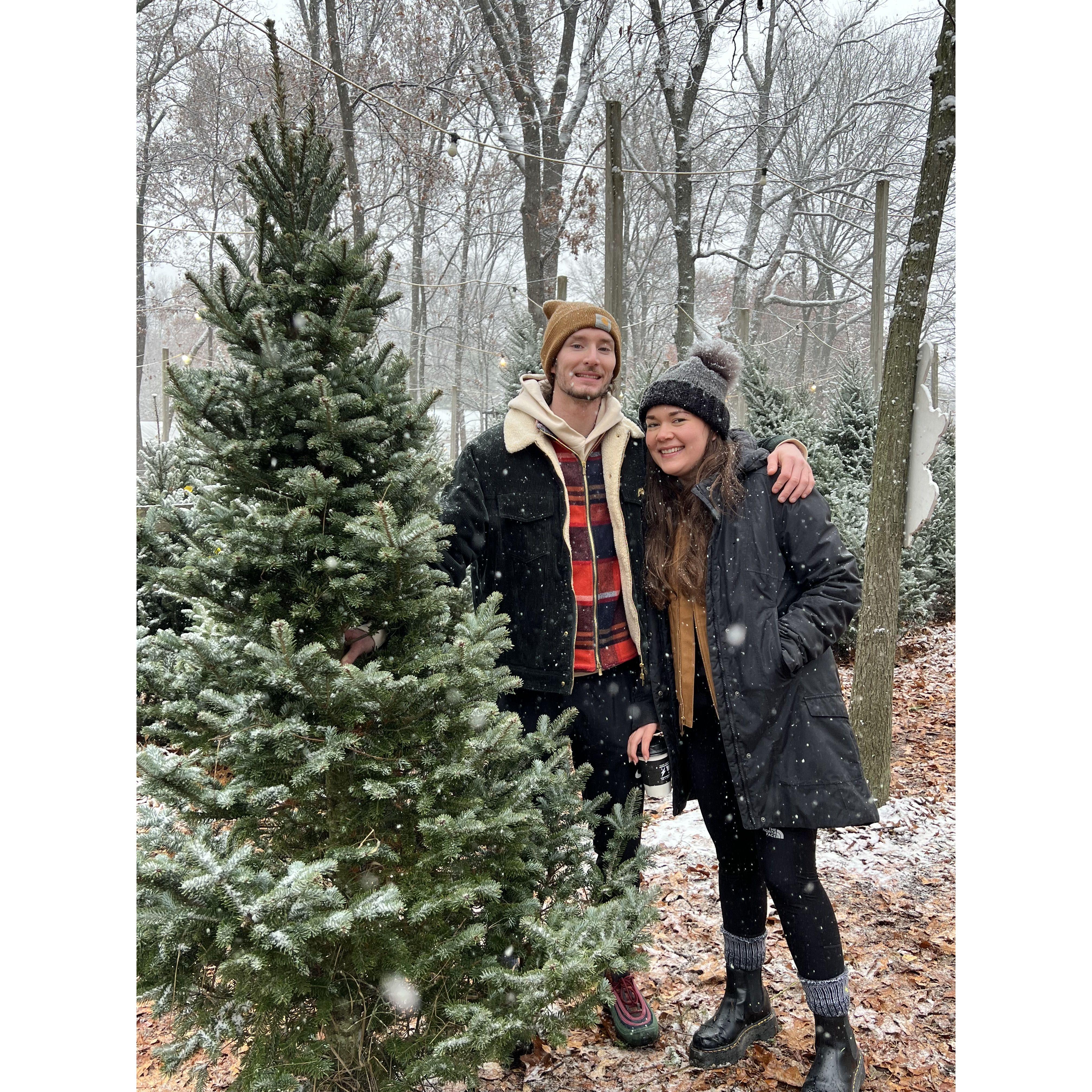 our first REAL xmas tree