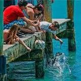Robbie's of Islamorada