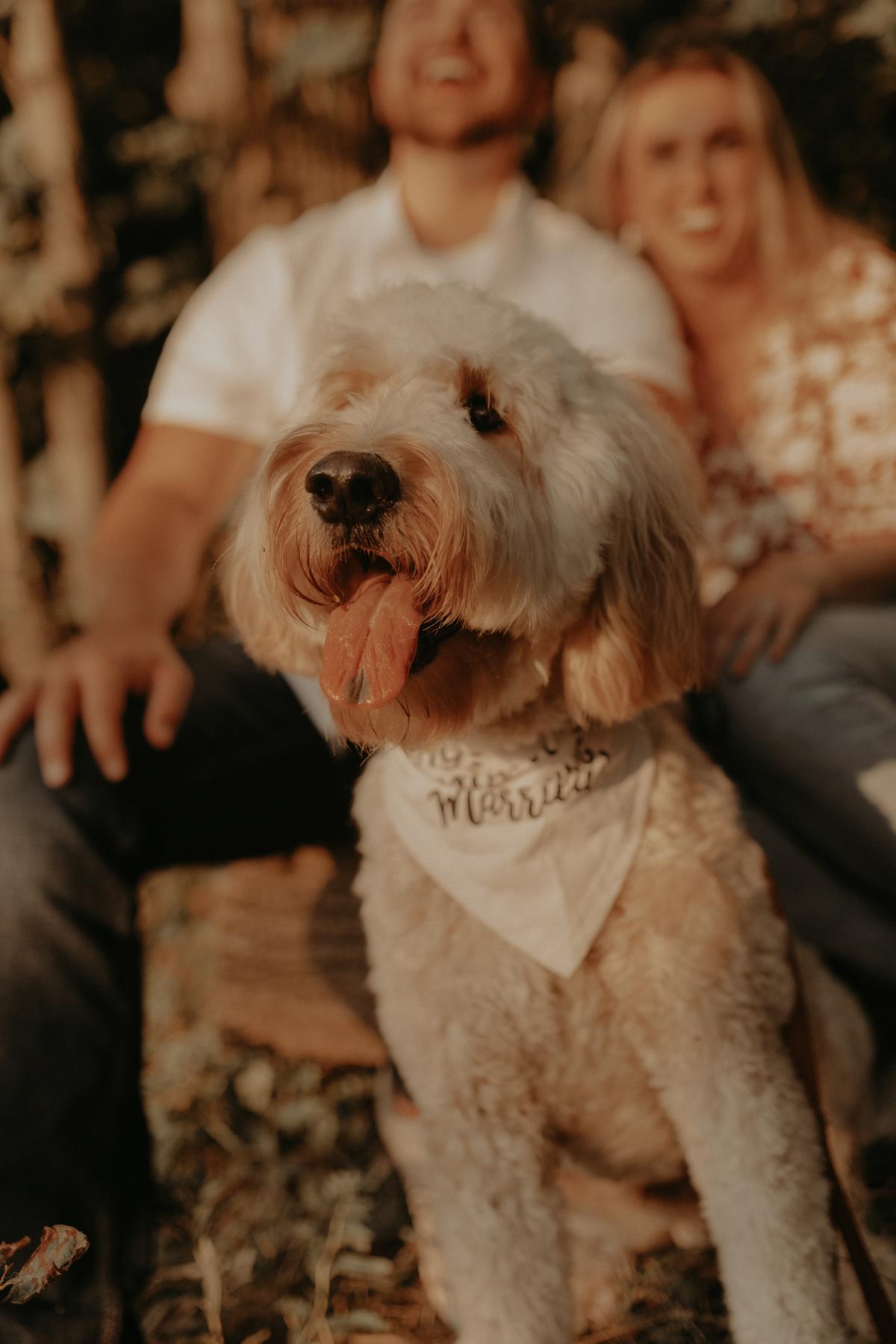 We couldn't have pictures without the Best Dog!