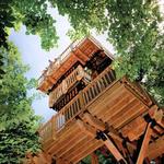 Arbor Day Tree Farm Adventure