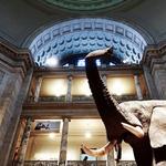 Smithsonian National Museum of Natural History