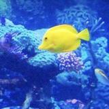 Long Island Aquarium