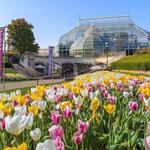 Phipps Conservatory and Botanical Gardens