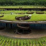 Antinori nel Chianti Classico