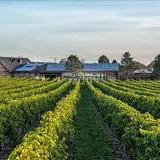 Newport Vineyards