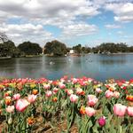 City Park